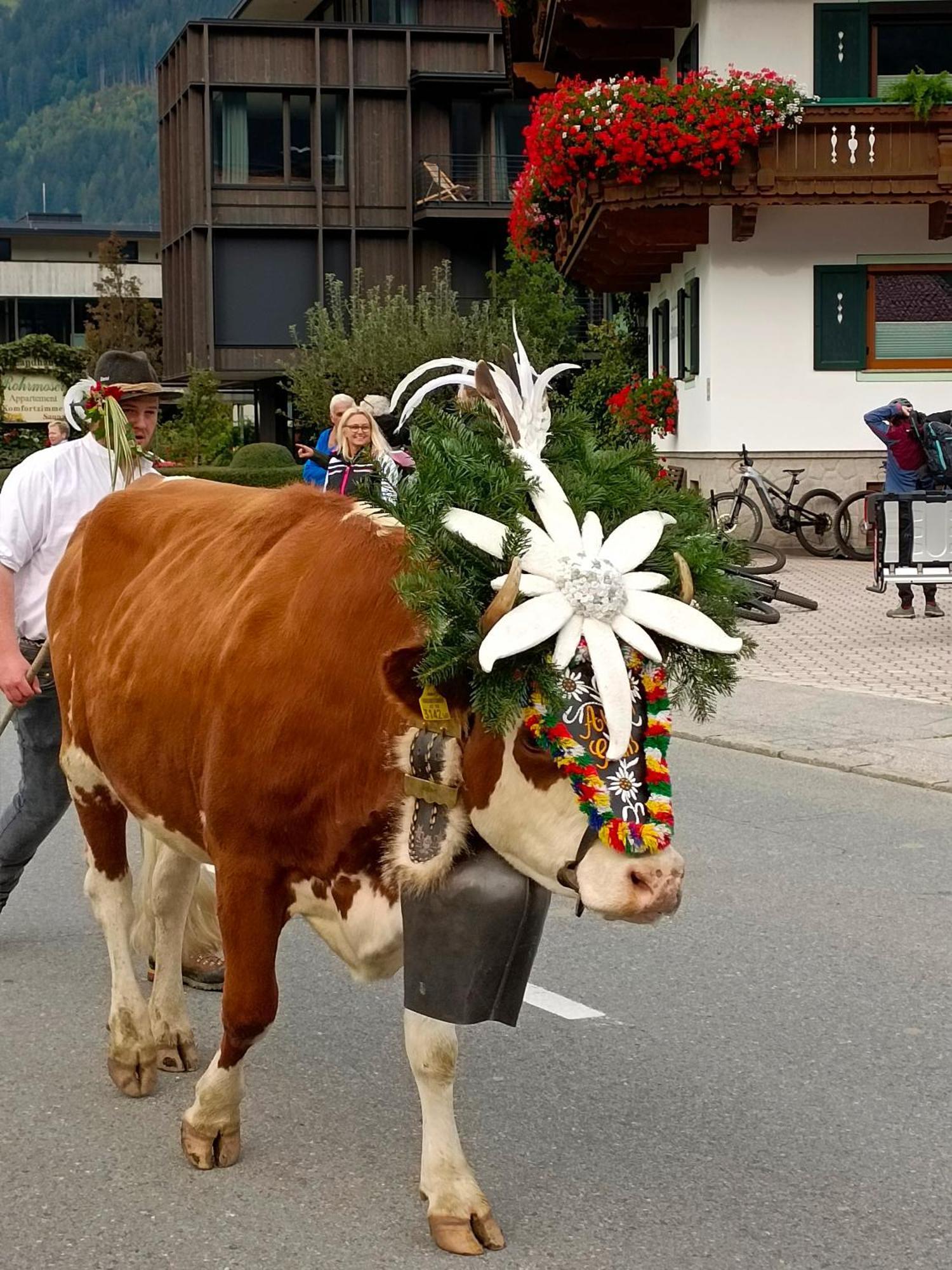 Appartement Eberharter Conny Zell am Ziller Kültér fotó